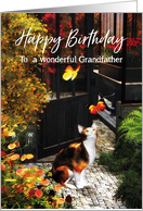 Cat loving butterflies for Grandfather Birthday card