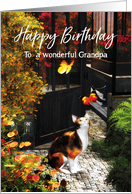 Cat loving butterflies for Grandpa Birthday card