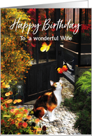 Cat loving butterflies for Wife Birthday card