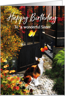 Cat loving butterflies for Sister Birthday card