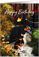 Cat loving butterflies for Cat lover Birthday card