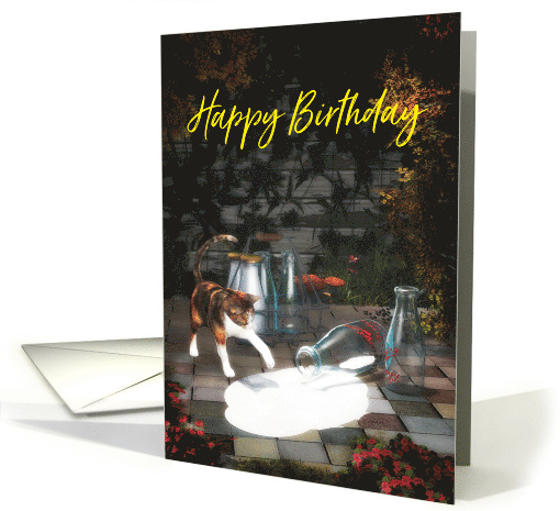 Cat discovering milk for cat lover Birthday card (1498554)
