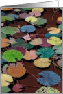 Blank Note Card - Pink Water lily card