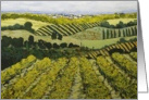 Blank Note Card -Vineyards, Fields, and Village card