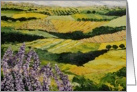 Blank Note Card - Fields, Vineyards, and Purple Wildflowers card