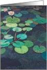 Green Pods and Pink Waterlilies - Blank Card