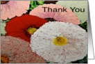 Thank You - Smell the Flowers card