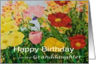 Multi-Colored Flower Garden - Happy Birthday Card for Granddaughter card