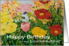 Multi-Colored Flower Garden - Happy Birthday Card for Grandmother card