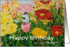 Multi-Colored Flower Garden - Happy Birthday Card for Sister card