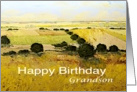 Yellow Fields/Trees Landscape-Happy Birthday Card for Grandson card
