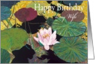 Pink Water Lily and Pods-Happy Birthday Wife card