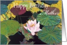 Pink Water Lily and Pods-Happy Birthday Mother card