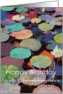 White water lily and multi-colored pods-Happy Birthday Granddaughter card