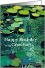 Green Water Lily Pond - Happy Birthday Grandson card
