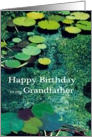 Green Water Lily Pond - Happy Birthday Grandfather card