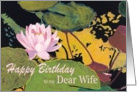 Pink Water Lily & Green Pods - Happy Birthday Wife card