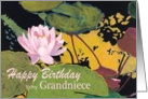 Pink Water Lily & Green Pods - Happy Birthday Grandniece card