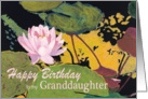 Pink Water Lily & Green Pods - Happy Birthday Granddaughter card