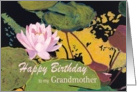 Pink Water Lily & Green Pods - Happy Birthday Grandmother card