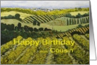 Vineyards & Fields Landscape- Happy Birthday Cousin card
