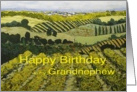 Vineyards & Fields Landscape- Happy Birthday Grandnephew card