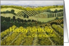 Vineyards & Fields Landscape- Happy Birthday Grandson card