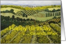 Vineyards & Fields Landscape- Happy Birthday Grandfather card