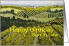 Vineyards & Fields Landscape- Happy Birthday Son in Law card