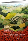 Red flowers & vineyards Landscape- Happy Birthday Granddaughter card