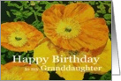 Large Orange Poppies - Happy Birthday Granddaughter card