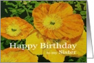 Large Orange Poppies - Happy Birthday Sister card