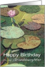 Pink Water Lily & Pods - Happy Birthday Granddaughter card