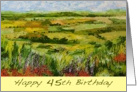 Happy 45th Birthday - Landscape and Red Wildflowers card