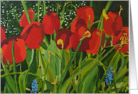 Red Tulip Flowers Blank Note Card