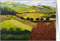 Blank Note Card -Red Bush and Vineyards card