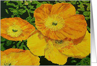 Valentine Day - Yellow Poppies card