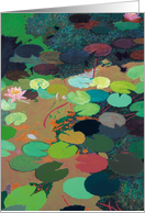 Pink Waterlily in Brown Pond card