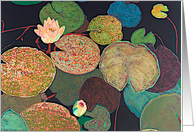 Two Pink Water Lilies Blank Card
