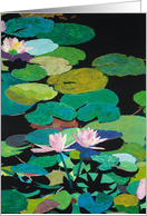 Four Pink Water Lilies - Blank Card