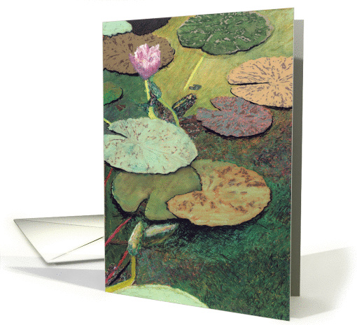 One Pink Water Lily and Green Pond - Blank card (1117270)