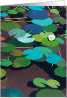 White Waterlily on Blue and Green Pods - Blank Card