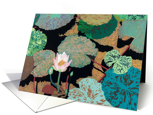 Single Pink Waterlily with multi-colored Pods - Blank card (1117286)