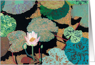 Single Pink Waterlily with multi-colored Pods - Blank Card