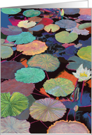 White Water Lily and Soft Pink Pods - Blank Card
