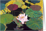 Water Lilies - All Occasion Blank Card