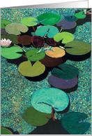 Green and Pink - Blank Card