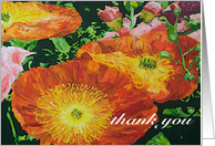 Thank You - Orange Poppies and Pink Flower card
