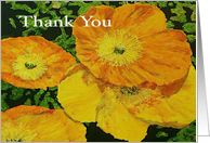 Thank You - Orange Poppies card