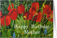Red Tulip Garden - Happy Birthday Card for Mother card